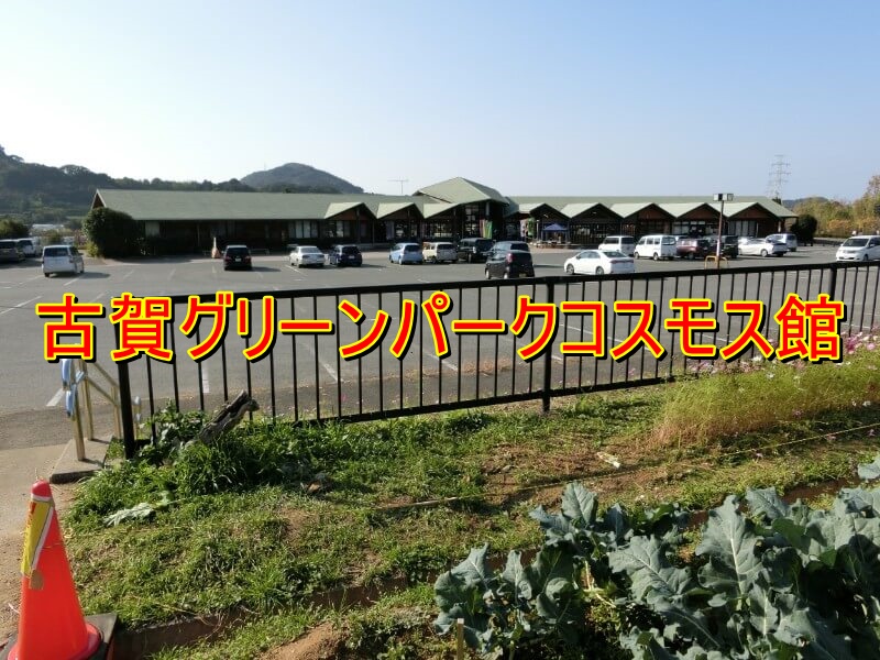 福岡県古賀市の公園 古賀グリーンパーク散策 コスモス館編 とっつぁんぼうやのブログ 福岡県古賀市の公園 古賀グリーンパーク散策 コスモス館編 とっつぁんぼうやのブログ